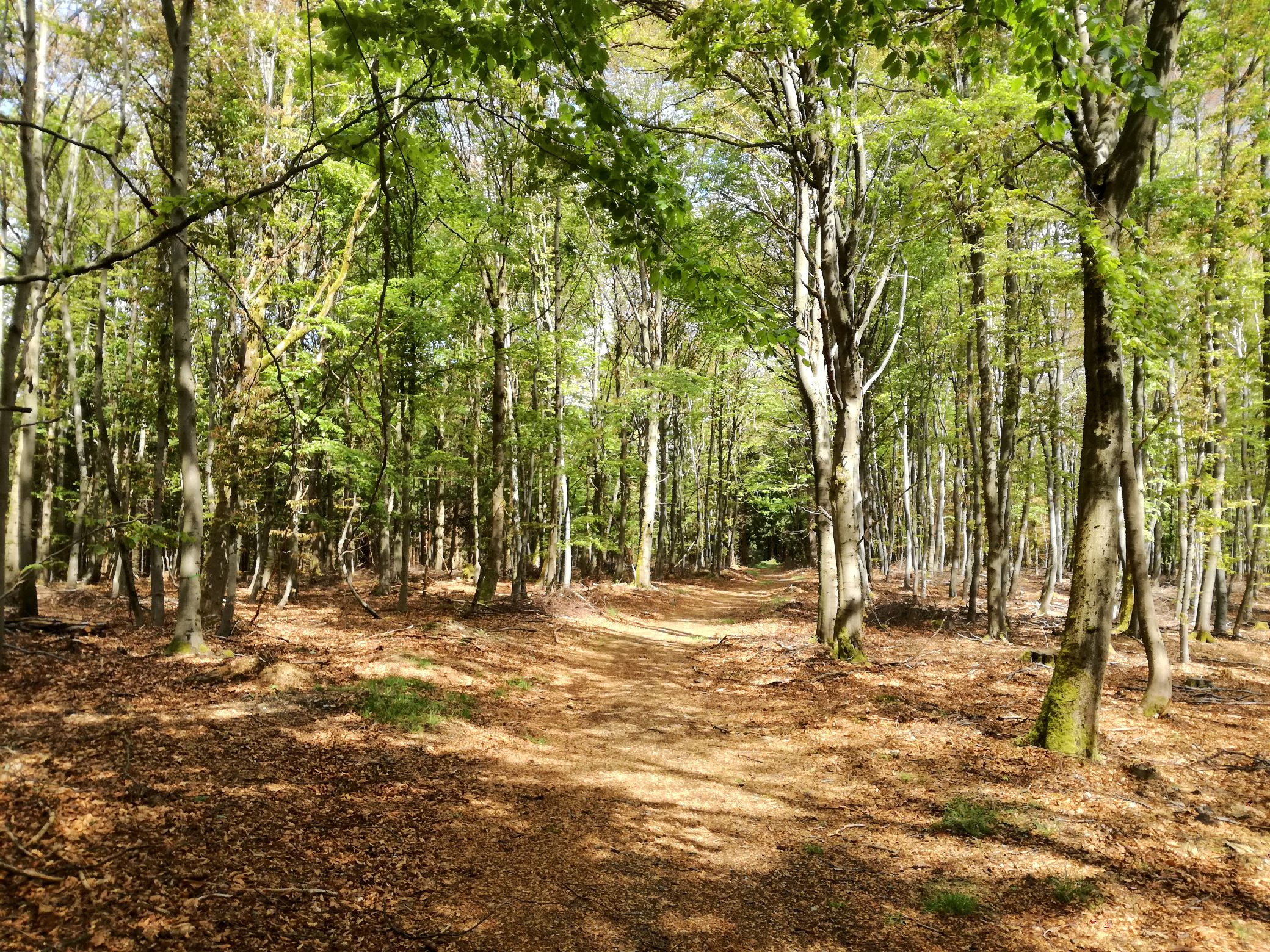 wandern